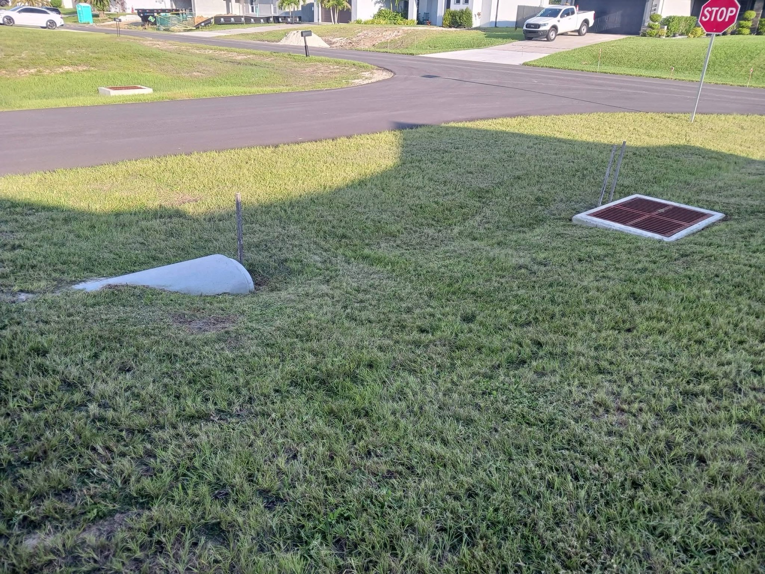 Lawn before service